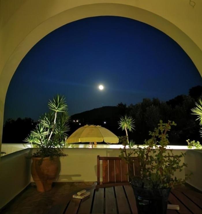 Villa Almyra Αίγινα Εξωτερικό φωτογραφία